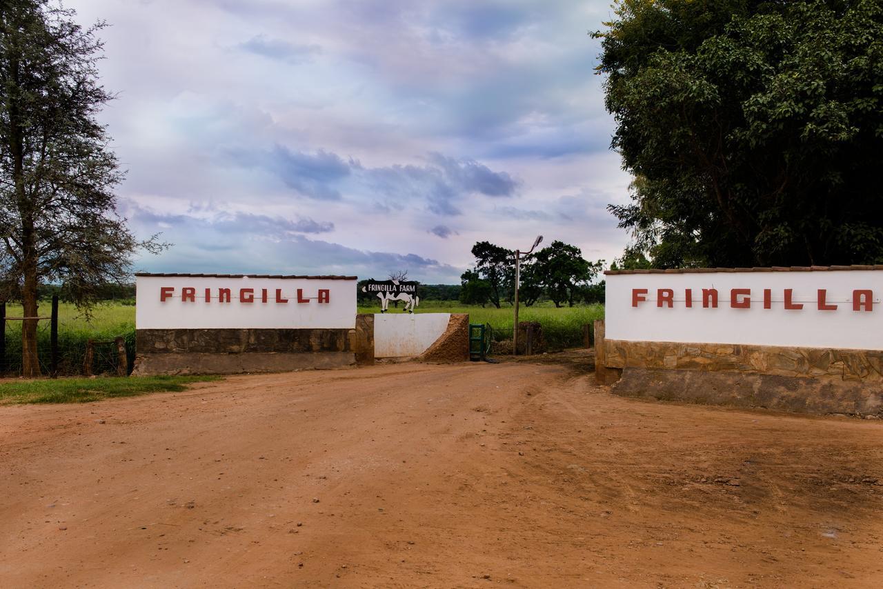 Fringilla Lodge Chisamba Экстерьер фото